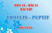 Bài tập về Peptit và Protein: Giải bài tập 1, 2, 3, 4. 5, 6 trang 55 SGK Hóa học 12 bài 11